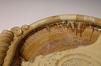 Dish Detail